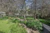 14 Osborne Street, Bundanoon, NSW 2578-Image