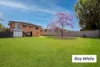 14 Pandeen Road, Rochedale South QLD 4123-Image