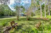 14 Pear Tree Lane, Cooroy, Qld 4563-Image