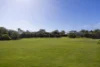 14 Pearse Road, Blairgowrie, Vic 3942-Image