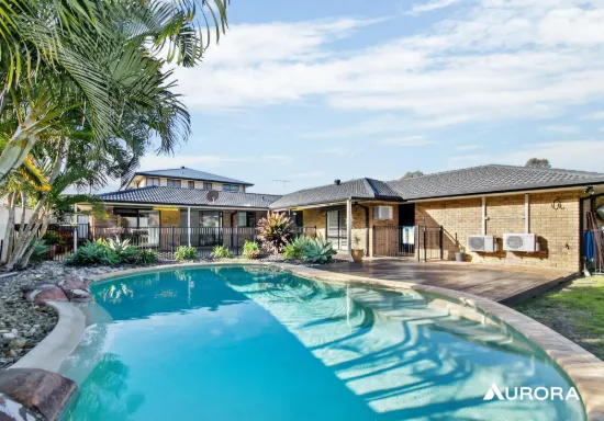 14 Pedwell Place, Birkdale, Qld 4159