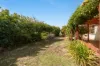 14 Pellew Gardens, Willetton, WA 6155-Image