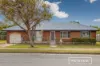 14 Peterson Street, Scarborough, Qld 4020-Image