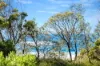 14 Point Parade, Congo, NSW 2537-Image