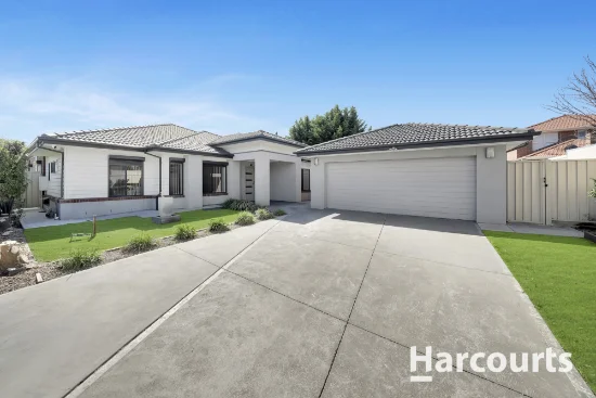14 Primrose Court, Cairnlea, Vic 3023