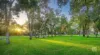 14 Prionotes Corner, Churchlands, WA 6018-Image