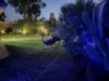 14 Pritchard Place, Glenmore Park, NSW 2745-Image