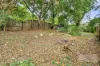 14 Ridge Street, Highgate Hill, Qld 4101-Image