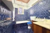 14 Robinson Street, Croydon, NSW 2132-Image
