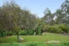 14 Saw Drive, Darlington, WA 6070-Image