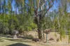 14 Smyth Road, Kilkivan, Qld 4600-Image