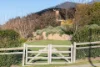 14 Snowy Gum Rise, Moss Vale, NSW 2577-Image