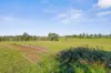 14 South Willards Lane, Oakhampton Heights, NSW 2320-Image