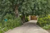 14 Stirling Close, Swan View, WA 6056-Image