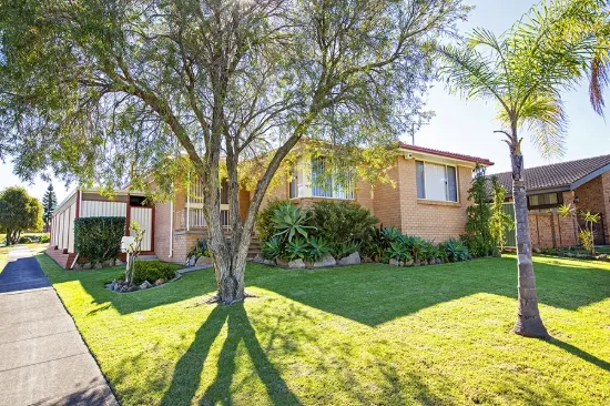 14 Strzelecki Close, Wakeley, NSW 2176