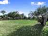 14 Stuart Court, Granville, Qld 4650-Image