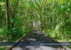 14 Surfers Drive, Lake Cathie, NSW 2445-Image