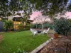 14 Tenth Avenue, Eildon, Vic 3713-Image