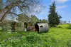 14 Terminus Road, Hoyleton, SA 5453-Image