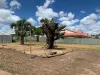 14 Theresa Street, Emerald, Qld 4720-Image