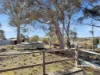 14 Thiessen Crescent, Miena, Tas 7030-Image