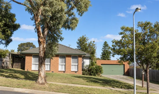 14 Thompson Court, Endeavour Hills, Vic 3802