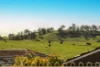 14 Torrens Place, Kearns, NSW 2558-Image
