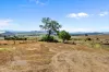 14 Upper Campbell Street, Aberdeen, NSW 2336-Image