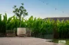 14 Utrecht Street, Cornubia, Qld 4130-Image