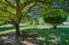 14 Valley Drive, Beaconsfield Upper, Vic 3808-Image