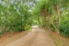 14 Wants Road, Maroochy River, Qld 4561-Image
