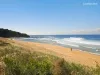 14 Waterloo Street, Narrabeen, NSW 2101-Image