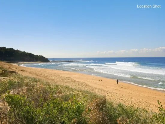 14 Waterloo Street, Narrabeen, NSW 2101-Image