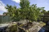 14 Wattle Grove, Reservoir, Vic 3073-Image