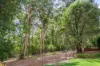 14 Wattlebird Grove, Pemberton, WA 6260-Image