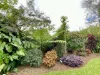 14 Wensley Avenue, Yungaburra, Qld 4884-Image