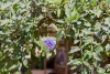 14 Werloo Court, Leda, WA 6170-Image