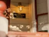 14 Whitehill Road, Newtown, Qld 4305-Image
