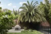 14 William Street, South Yarra, Vic 3141-Image