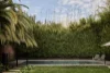 14 William Street, South Yarra, Vic 3141-Image