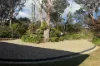14 Willow Park Avenue, Leura, NSW 2780-Image