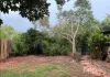 14 Winckel Court, Cable Beach, WA 6726-Image