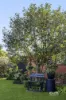 14 Wolverton Drive, Gladstone Park, Vic 3043-Image