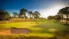 14 Wongala Avenue, Glenelg North, SA 5045-Image
