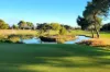 14 Wongala Avenue, Glenelg North, SA 5045-Image