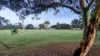 14 Wongala Avenue, Glenelg North, SA 5045-Image