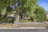 14 Wongala Avenue, Glenelg North, SA 5045-Image
