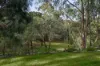 14 Zenith Court, Howrah, Tas 7018-Image