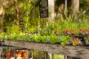 140 Bangalow Road, Byron Bay, NSW 2481-Image