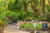 140 Bangalow Road, Byron Bay, NSW 2481-Image